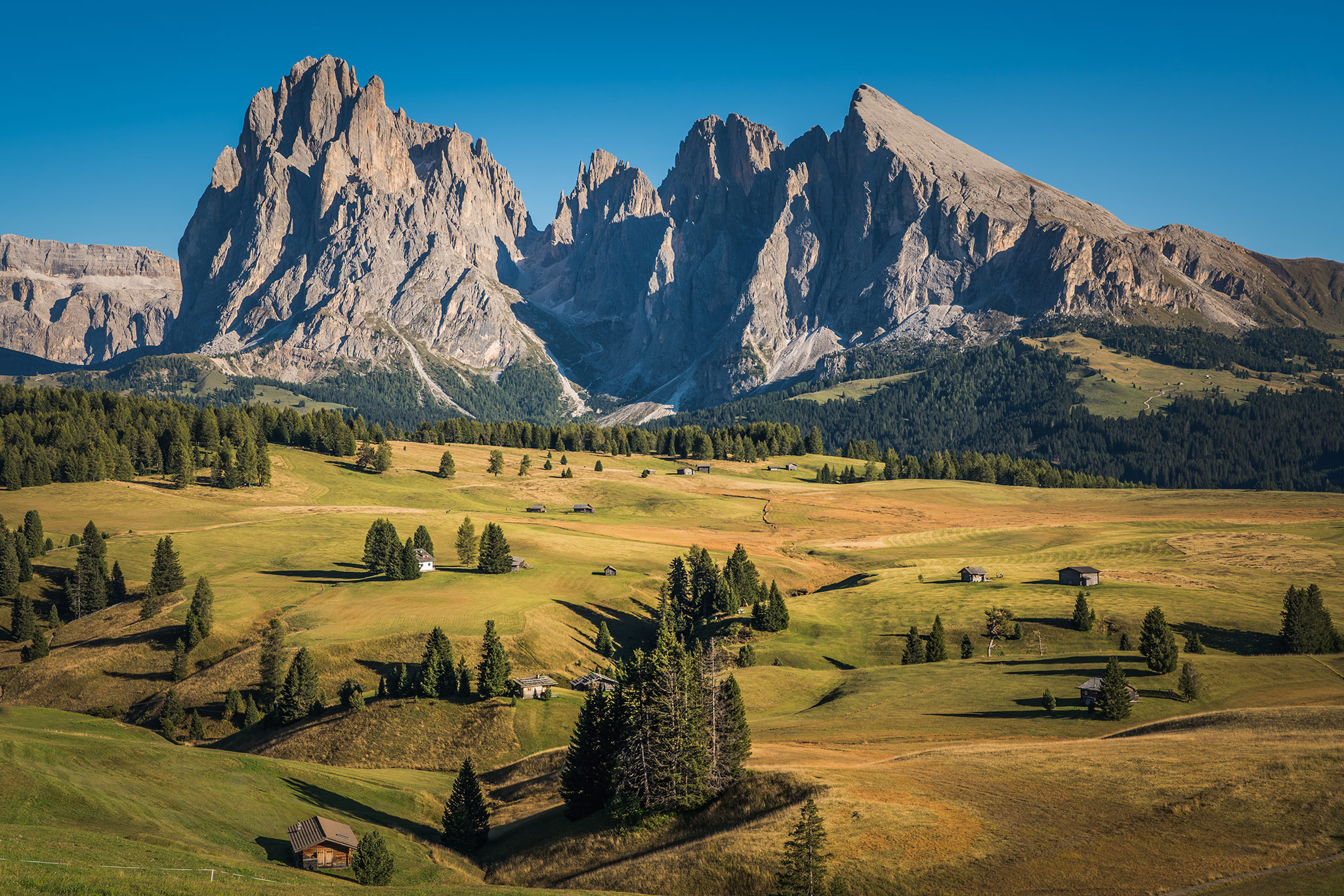 Alpe di Siusi | Mont Sëuc